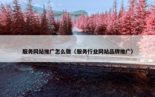 服务网站推广怎么做（服务行业网站品牌推广）