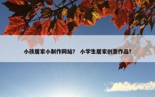 小孩居家小制作网站？ 小学生居家创意作品？