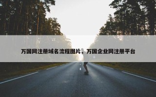 万国网注册域名流程图片，万国企业网注册平台