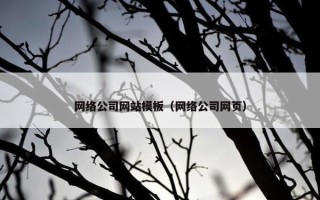 网络公司网站模板（网络公司网页）