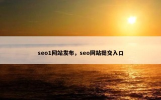 seo1网站发布，seo网站提交入口
