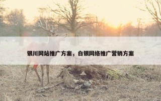 银川网站推广方案，白银网络推广营销方案