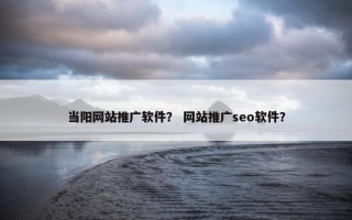 当阳网站推广软件？ 网站推广seo软件？
