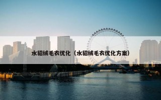 水貂绒毛衣优化（水貂绒毛衣优化方案）