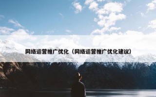 网络运营推广优化（网络运营推广优化建议）