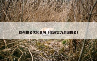 徐州排名优化贵吗（徐州实力全国排名）