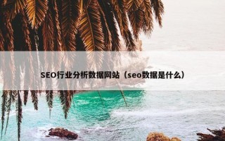 SEO行业分析数据网站（seo数据是什么）