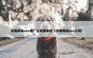 济南网站seo推广公司哪家好（济南网络seo公司）