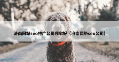 济南网站seo推广公司哪家好（济南网络seo公司）
