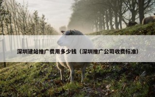 深圳建站推广费用多少钱（深圳推广公司收费标准）