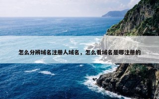 怎么分辨域名注册人域名，怎么看域名是哪注册的