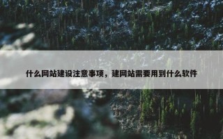 什么网站建设注意事项，建网站需要用到什么软件