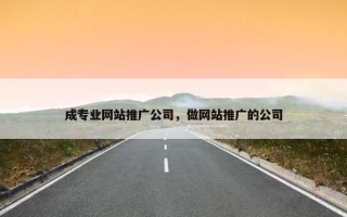成专业网站推广公司，做网站推广的公司