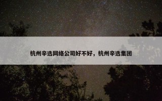 杭州辛选网络公司好不好，杭州辛选集团