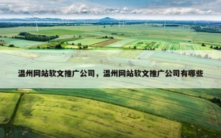 温州网站软文推广公司，温州网站软文推广公司有哪些