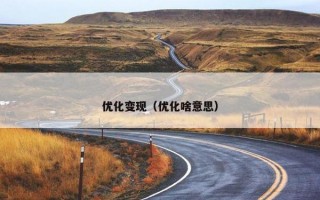 优化变现（优化啥意思）