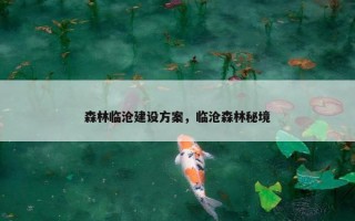 森林临沧建设方案，临沧森林秘境