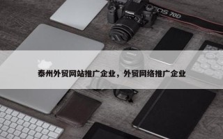 泰州外贸网站推广企业，外贸网络推广企业