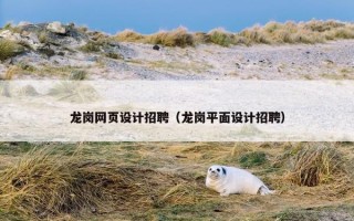 龙岗网页设计招聘（龙岗平面设计招聘）
