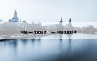 网站seo优化操作，seo网站优化技术