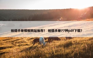 拍摄手册模板网站推荐？ 拍摄手册77种pdf下载？