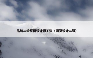 品牌二级页面设计师工资（网页设计二级）