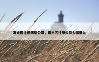 嘉定区注册网络公司，嘉定区注册公司去哪里办