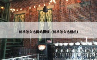 新手怎么选网站模板（新手怎么选相机）