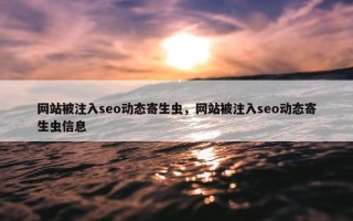 网站被注入seo动态寄生虫，网站被注入seo动态寄生虫信息