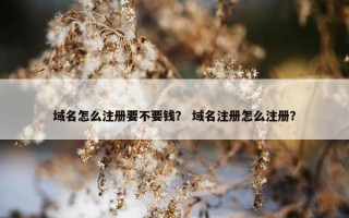域名怎么注册要不要钱？ 域名注册怎么注册？