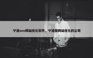 宁波seo网站优化软件，宁波做网站优化的公司