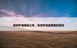 深圳罗湖网络公司，深圳罗湖是哪里的网贷