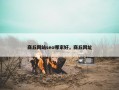 商丘网站seo哪家好，商丘网址