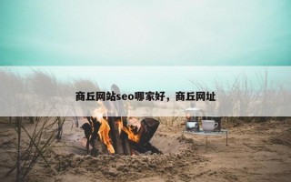 商丘网站seo哪家好，商丘网址