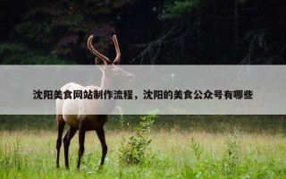 沈阳美食网站制作流程，沈阳的美食公众号有哪些