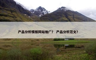 产品分析模板网站推广？ 产品分析范文？