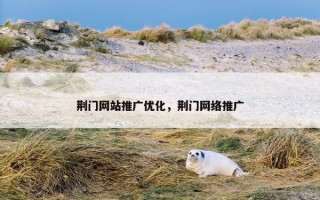 荆门网站推广优化，荆门网络推广