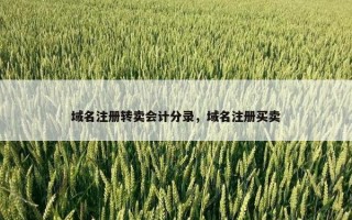 域名注册转卖会计分录，域名注册买卖