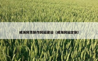威海网页制作网站建设（威海网站定制）