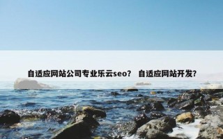 自适应网站公司专业乐云seo？ 自适应网站开发？