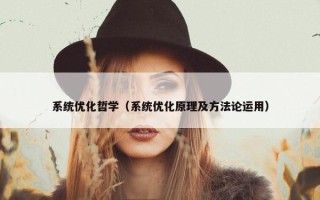 系统优化哲学（系统优化原理及方法论运用）