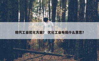 现代工业优化方案？ 优化工业布局什么意思？