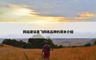 网站建设晨飞网络品牌的简单介绍