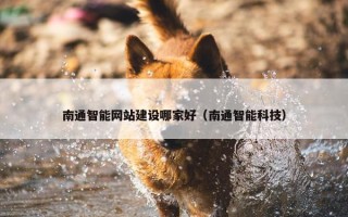 南通智能网站建设哪家好（南通智能科技）