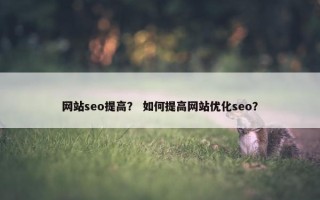 网站seo提高？ 如何提高网站优化seo？