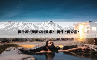 网件调试页面设计要求？ 网件上网设置？