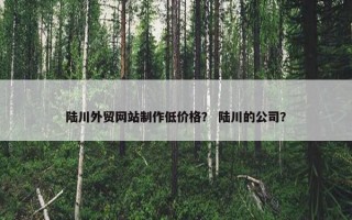 陆川外贸网站制作低价格？ 陆川的公司？