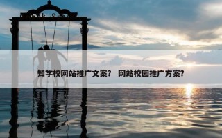 知学校网站推广文案？ 网站校园推广方案？