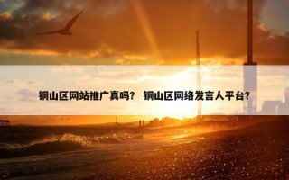 铜山区网站推广真吗？ 铜山区网络发言人平台？