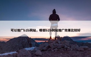 可以推广b2b网站，哪些b2b网站推广效果比较好